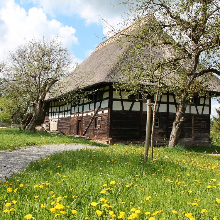 Museumsdorf Kürnbach 